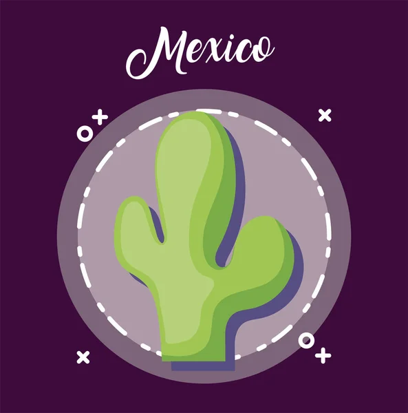 Cactus mexicano dentro sello sello vector diseño — Vector de stock