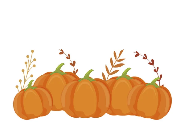 Calabazas de otoño y hojas aisladas diseño vectorial — Vector de stock