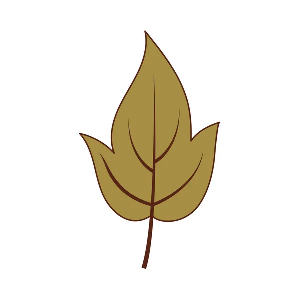 Isolated autumn leaf vector design — Stock Vector