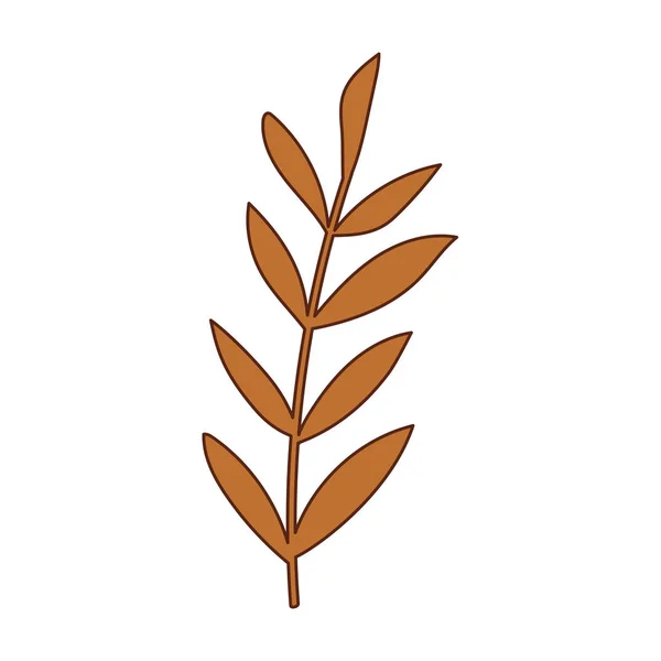 Diseño aislado de vectores de hojas de otoño — Vector de stock