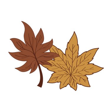 İzole edilmiş iki sonbahar yaprağı vektör tasarımı
