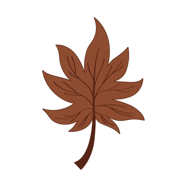 Μεμονωμένα φύλλα σφενδάμνου του φθινοπώρου — Διανυσματικό Αρχείο