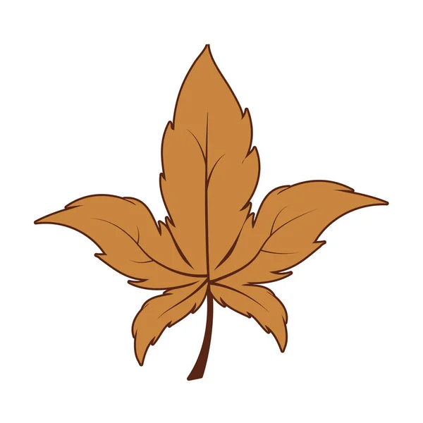 Μεμονωμένα φύλλα σφενδάμνου του φθινοπώρου — Διανυσματικό Αρχείο