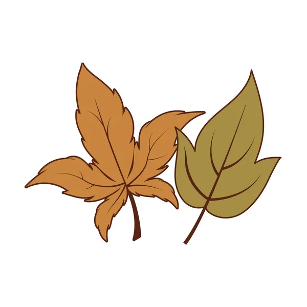 Diseño vectorial aislado de dos hojas de otoño — Vector de stock