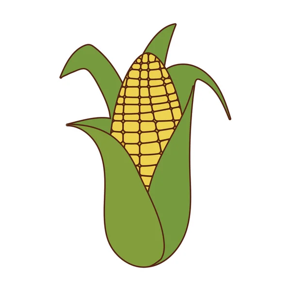 Desenho isolado de vetor alimentar de milho —  Vetores de Stock