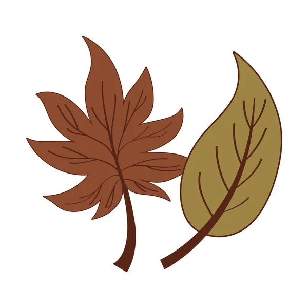 Απομονωμένα δύο φύλλα του φθινοπώρου — Διανυσματικό Αρχείο