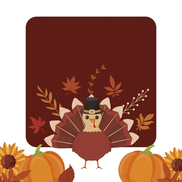 Turkey and pumpkins of thanksgiving day vector design — Stock Vector