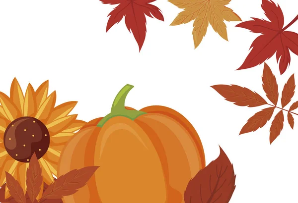 Herbst-Kürbisse Sonnenblumen und Blätter Vektordesign — Stockvektor