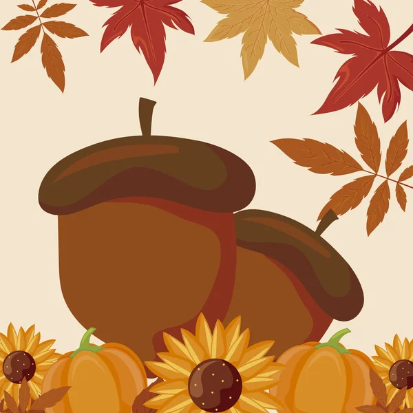 Acorns pumpkins sunflowers and leaves vector design — Stock Vector