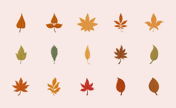 Isolated set of autumn leaves vector design — Stock Vector