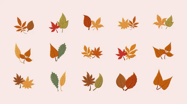 Isolated set of autumn leaves vector design — Stock Vector