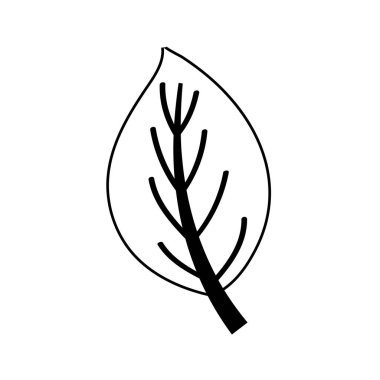 İzole edilmiş sonbahar yaprağı vektör tasarımı