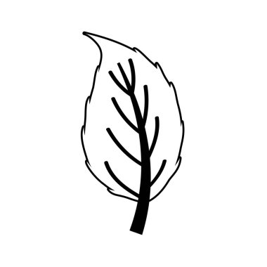 İzole edilmiş sonbahar yaprağı vektör tasarımı