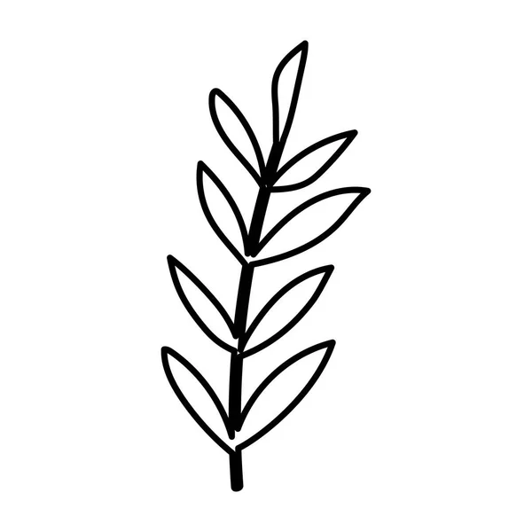 Conception isolée de vecteur de feuilles d'automne — Image vectorielle