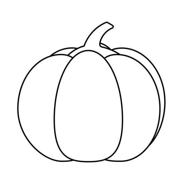 Diseño aislado de vectores de frutas de calabaza — Vector de stock