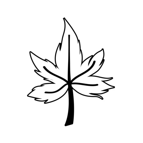 단풍 잎 벡터 디자인 — 스톡 벡터