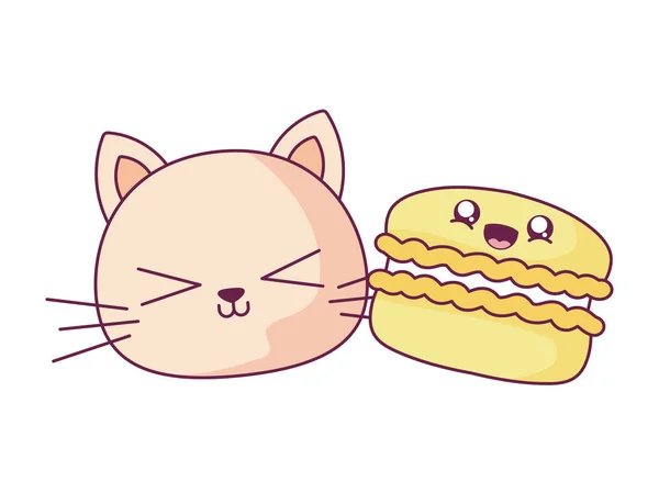 Kawaii gato e biscoito desenho animado vetor design — Vetor de Stock