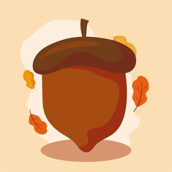 Acorn of autumn season vector design — Stock Vector