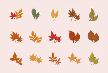 İzole edilmiş sonbahar yaprakları vektör tasarımı