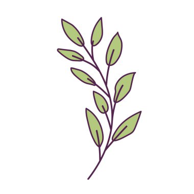 İzole edilmiş yaprak ikon vektör tasarımı