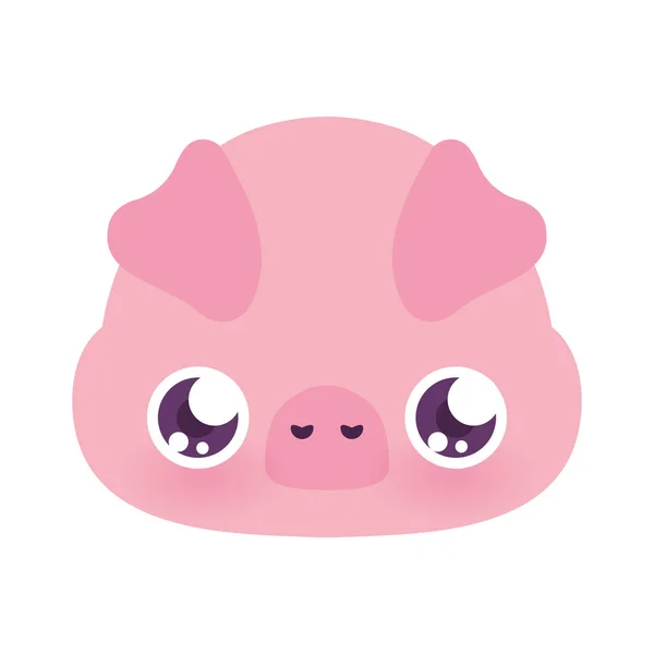 Cute pig cartoon vector design — Stock Vector