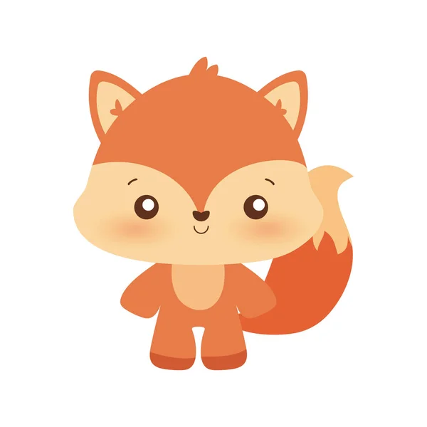 可爱狐狸卡通矢量设计 — 图库矢量图片