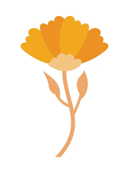 Isolated natural orange flower vector design — Stock Vector