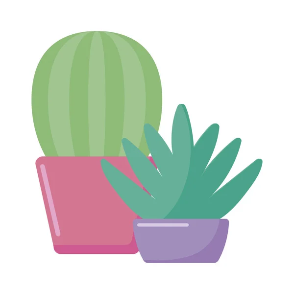 Isolerade kaktusväxter inuti krukor vektort design — Stock vektor