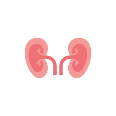 İzole böbrek ikon vektör tasarımı