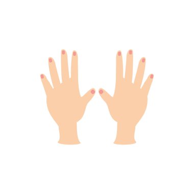 Ayrı kadın elleri ikon vektör tasarımı