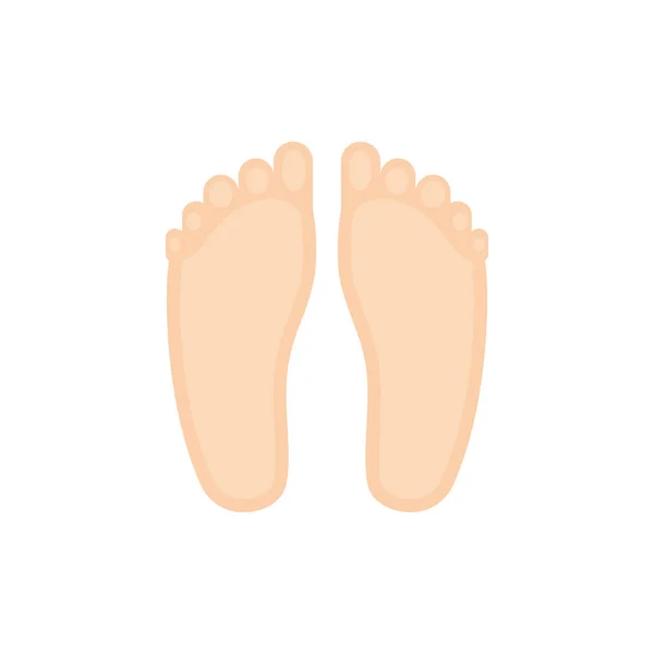 İzole ayak ikonu vektör tasarımı — Stok Vektör