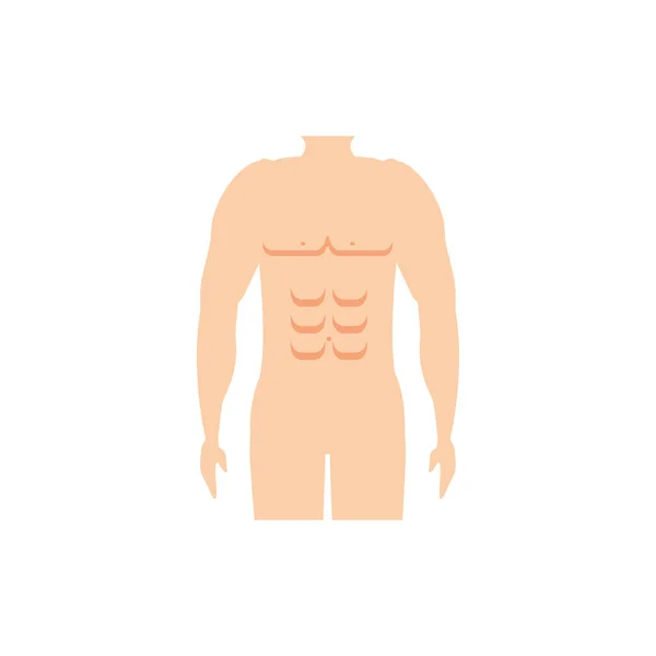 Isolated male trunk with arms vector design — 스톡 벡터