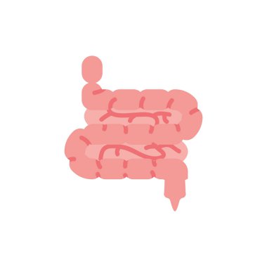 İzole edilmiş bağırsak ikon vektör tasarımı