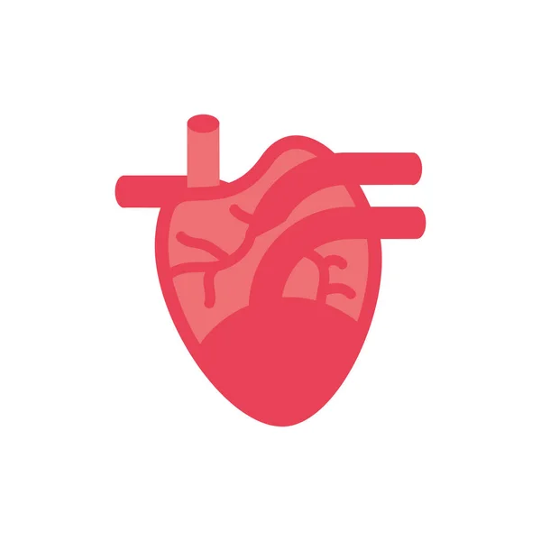 Conception de vecteur d'icône de coeur isolé — Image vectorielle