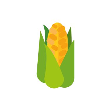 İzole mısır besin taşıyıcı tasarımı