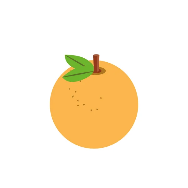 Konstrukce izolovaného vektoru oranžového ovoce — Stockový vektor