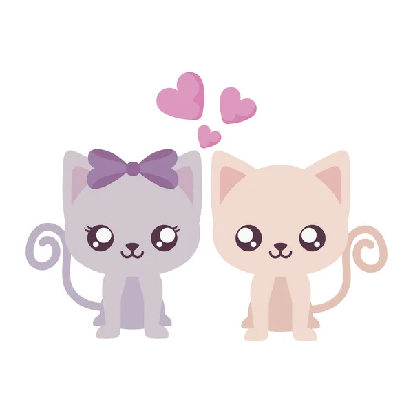 Kawaii femelle et mâle dessin animé chat vecteur design — Image vectorielle