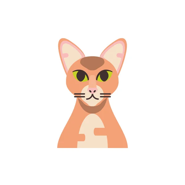 Милый коричневый кот — стоковый вектор