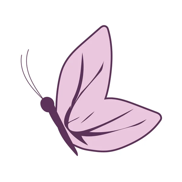귀여운 나비 곤충 벡터 설계 — 스톡 벡터