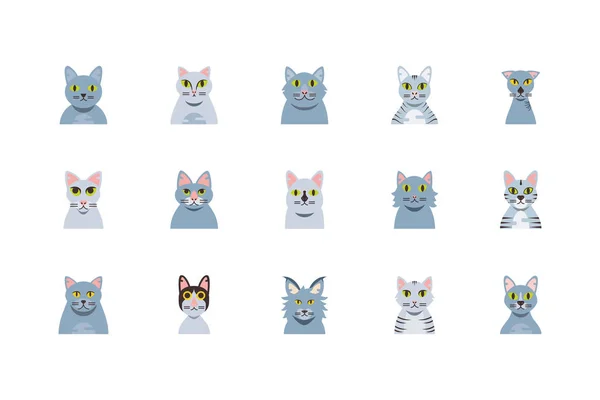 Izolovaná sada roztomilé šedé kočky karikatury vektorový design — Stockový vektor