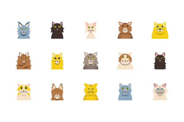 Isolated set of cute cats cartoons vector design — 스톡 벡터