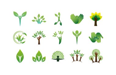 İzole edilmiş doğal yapraklar ikon kümesi vektör tasarımı şekillerini destekler