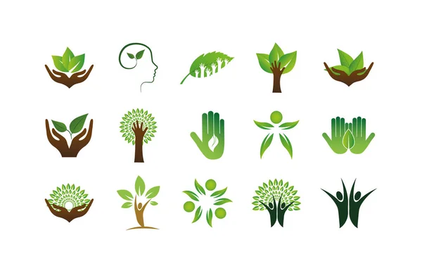 Izolowane naturalne liście wspierają kształty ikony zestaw wektor projekt — Wektor stockowy