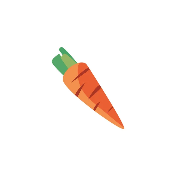 Design vettoriale vegetale isolato della carota — Vettoriale Stock