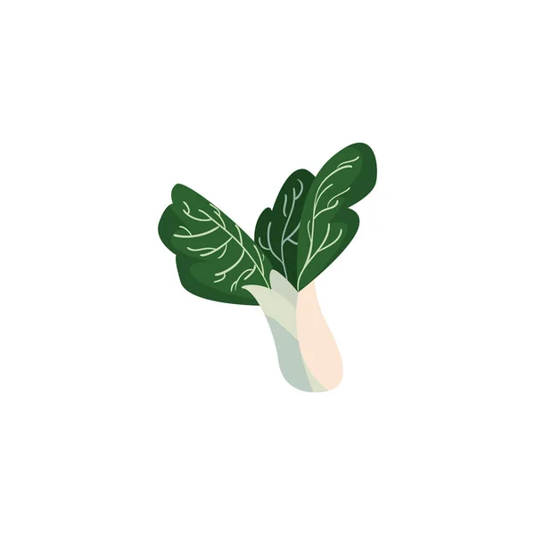孤立的泡菜蔬菜载体设计 — 图库矢量图片
