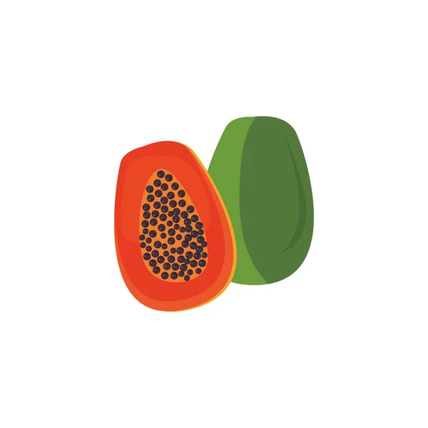 Ontwerp van geïsoleerde vector van papaja-vruchten — Stockvector