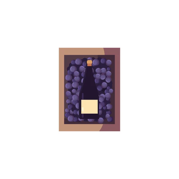 Izolowana butelka wina wewnątrz projektu wektora pudełka winogron — Wektor stockowy