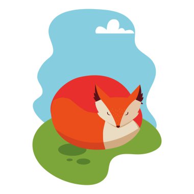 Vahşi tilki yaz manzarasında