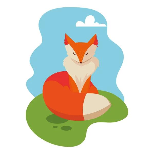 Wild fox on a summer nature landscape — Stock Vector