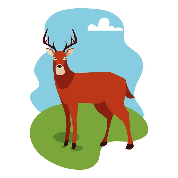 夏季自然景观中的野鹿 — 图库矢量图片
